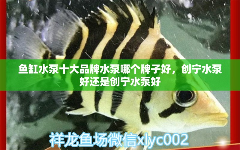 魚缸水泵十大品牌水泵哪個牌子好，創(chuàng)寧水泵好還是創(chuàng)寧水泵好