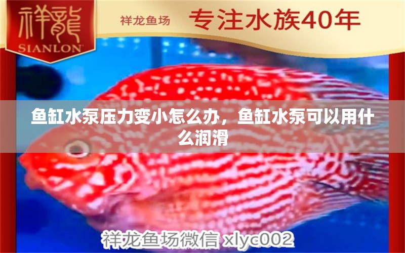 魚缸水泵壓力變小怎么辦，魚缸水泵可以用什么潤滑 魚缸水泵 第1張