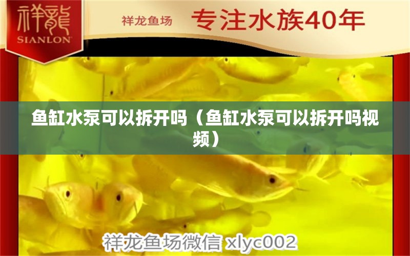 魚缸水泵可以拆開嗎（魚缸水泵可以拆開嗎視頻） 魚缸水泵