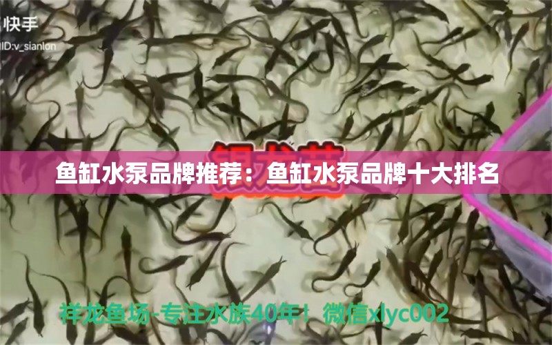 魚缸水泵品牌推薦：魚缸水泵品牌十大排名 魚缸水泵