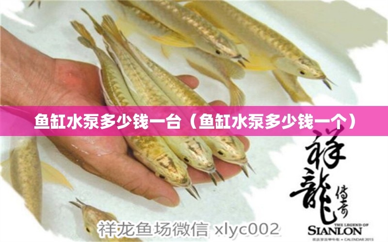 魚缸水泵多少錢一臺（魚缸水泵多少錢一個(gè)）