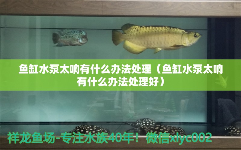 魚(yú)缸水泵太響有什么辦法處理（魚(yú)缸水泵太響有什么辦法處理好） 魚(yú)缸水泵