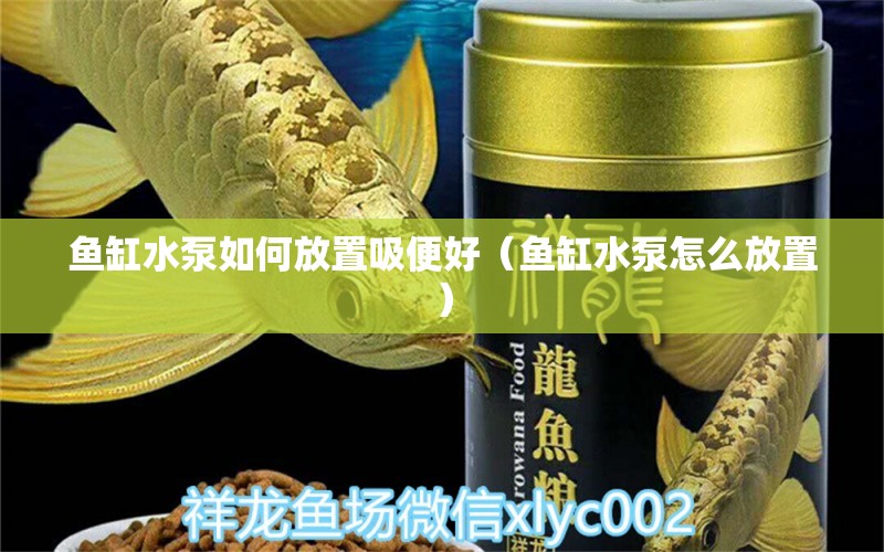 魚缸水泵如何放置吸便好（魚缸水泵怎么放置）