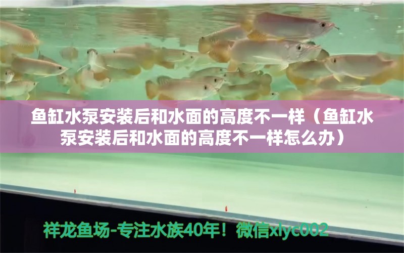 魚缸水泵安裝后和水面的高度不一樣（魚缸水泵安裝后和水面的高度不一樣怎么辦） 魚缸水泵