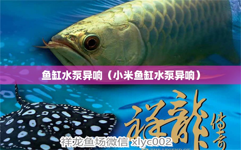 魚(yú)缸水泵異響（小米魚(yú)缸水泵異響）