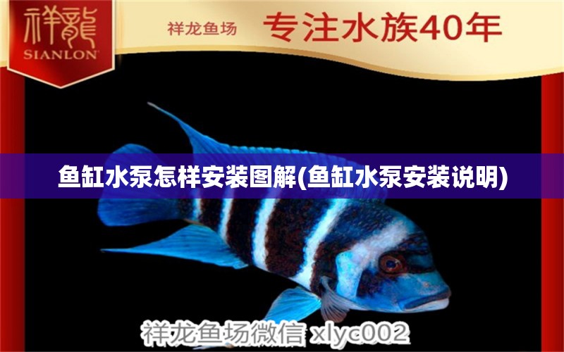 魚缸水泵怎樣安裝圖解(魚缸水泵安裝說明) 魚缸水泵