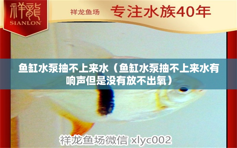 魚(yú)缸水泵抽不上來(lái)水（魚(yú)缸水泵抽不上來(lái)水有響聲但是沒(méi)有放不出氧）