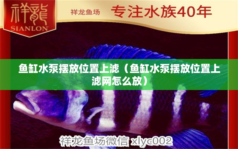 魚(yú)缸水泵擺放位置上濾（魚(yú)缸水泵擺放位置上濾網(wǎng)怎么放）