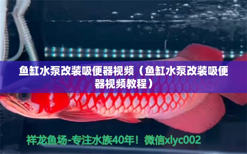 魚缸水泵改裝吸便器視頻（魚缸水泵改裝吸便器視頻教程） 魚缸水泵