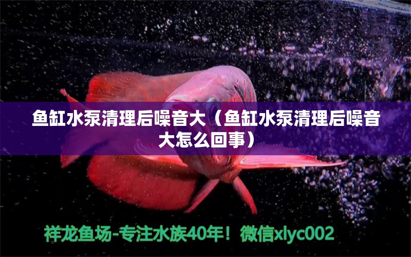 魚缸水泵清理后噪音大（魚缸水泵清理后噪音大怎么回事） 魚缸水泵