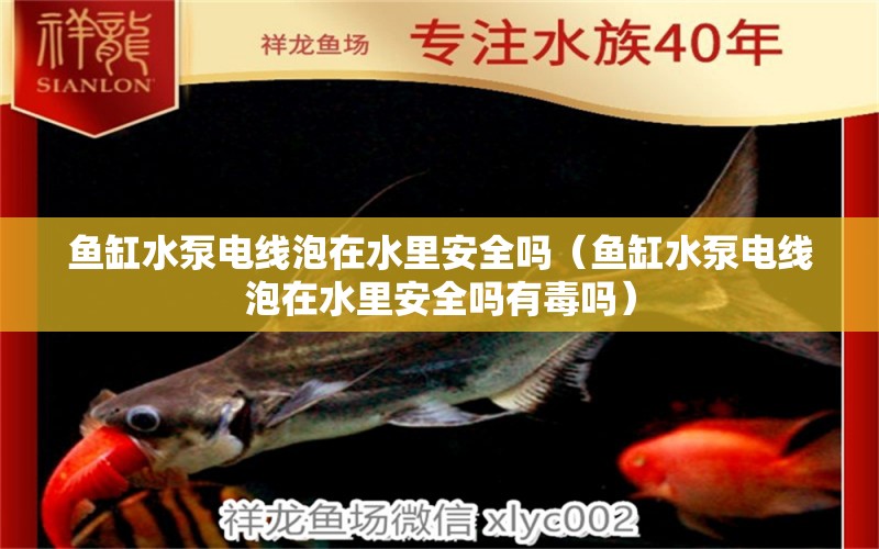 魚(yú)缸水泵電線泡在水里安全嗎（魚(yú)缸水泵電線泡在水里安全嗎有毒嗎）