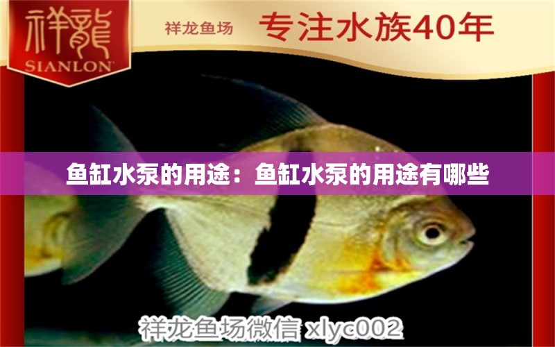 魚缸水泵的用途：魚缸水泵的用途有哪些