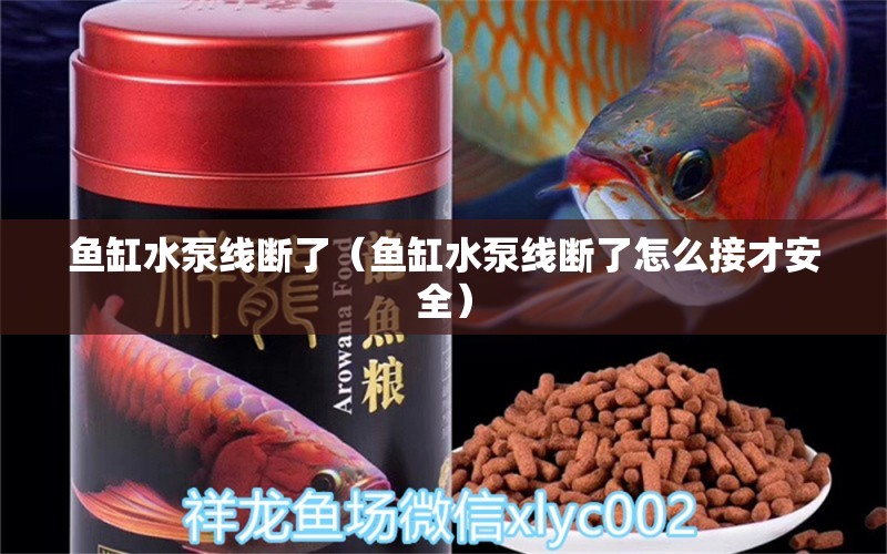 魚缸水泵線斷了（魚缸水泵線斷了怎么接才安全） 魚缸水泵