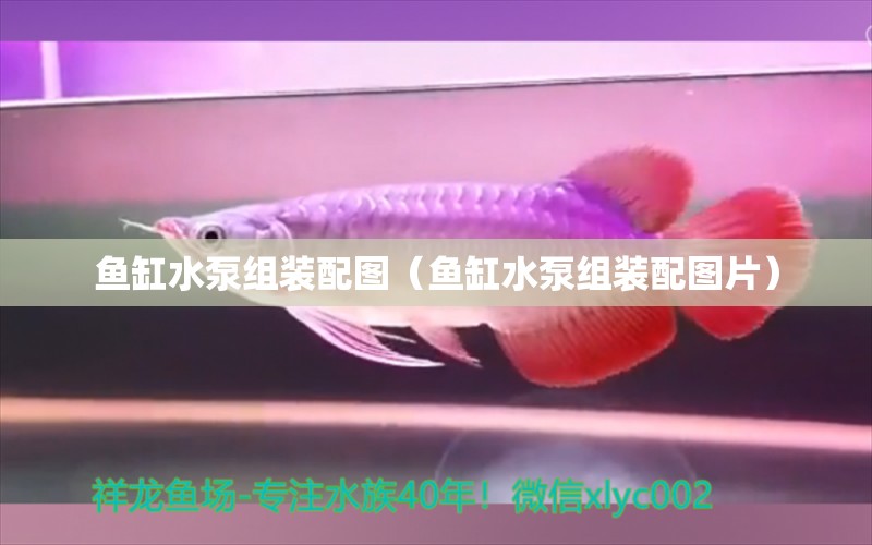 魚(yú)缸水泵組裝配圖（魚(yú)缸水泵組裝配圖片）