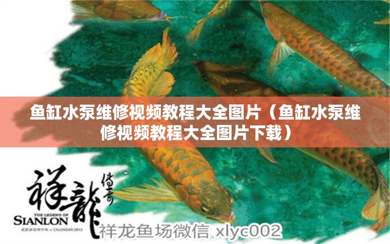 魚缸水泵維修視頻教程大全圖片（魚缸水泵維修視頻教程大全圖片下載） 魚缸水泵