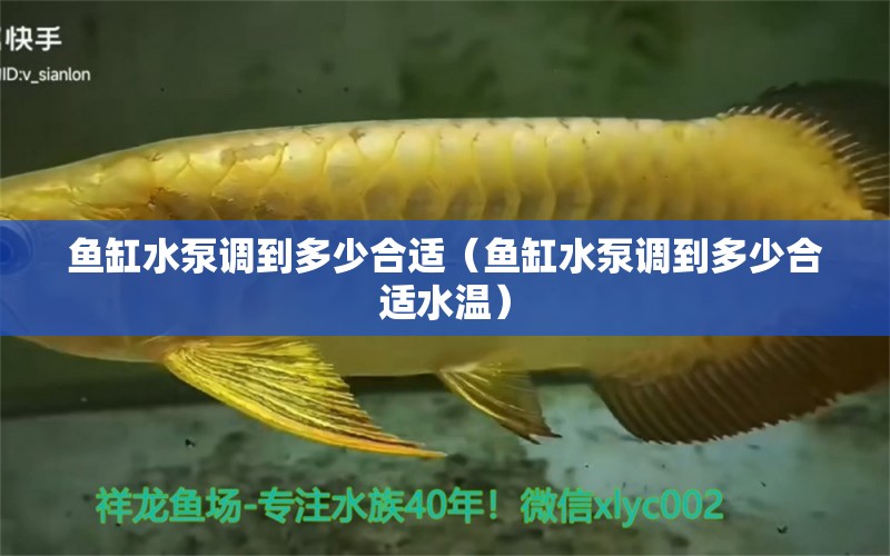 魚(yú)缸水泵調(diào)到多少合適（魚(yú)缸水泵調(diào)到多少合適水溫）