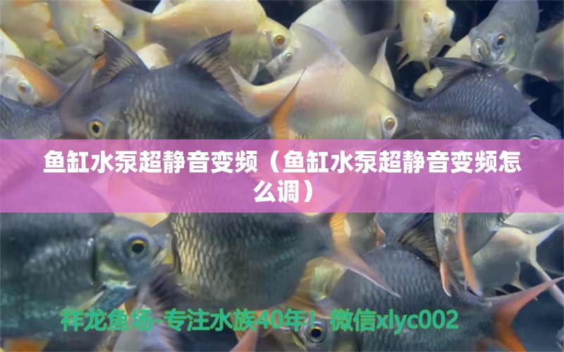 魚缸水泵超靜音變頻（魚缸水泵超靜音變頻怎么調）