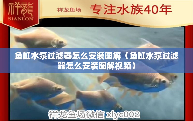 魚缸水泵過濾器怎么安裝圖解（魚缸水泵過濾器怎么安裝圖解視頻） 魚缸水泵