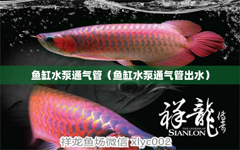 魚缸水泵通氣管（魚缸水泵通氣管出水）