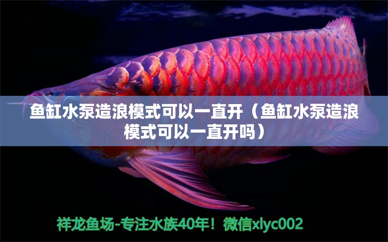 魚(yú)缸水泵造浪模式可以一直開(kāi)（魚(yú)缸水泵造浪模式可以一直開(kāi)嗎） 魚(yú)缸水泵