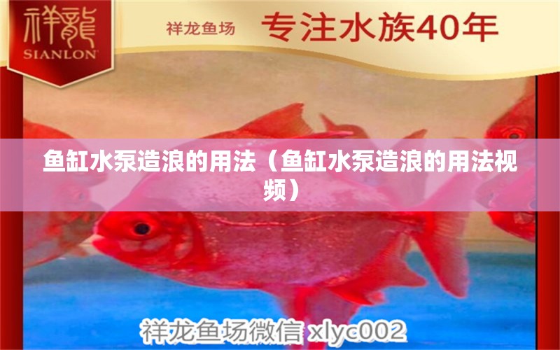 魚缸水泵造浪的用法（魚缸水泵造浪的用法視頻）