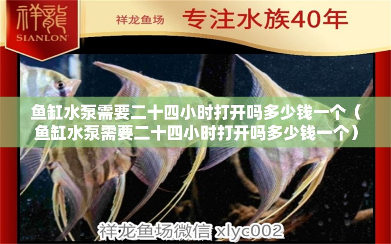 魚缸水泵需要二十四小時打開嗎多少錢一個（魚缸水泵需要二十四小時打開嗎多少錢一個）