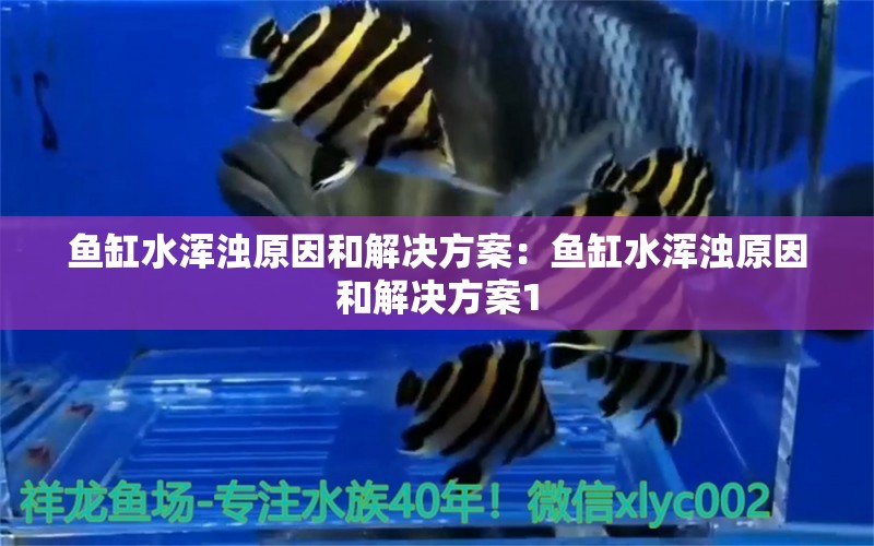 魚(yú)缸水渾濁原因和解決方案：魚(yú)缸水渾濁原因和解決方案1