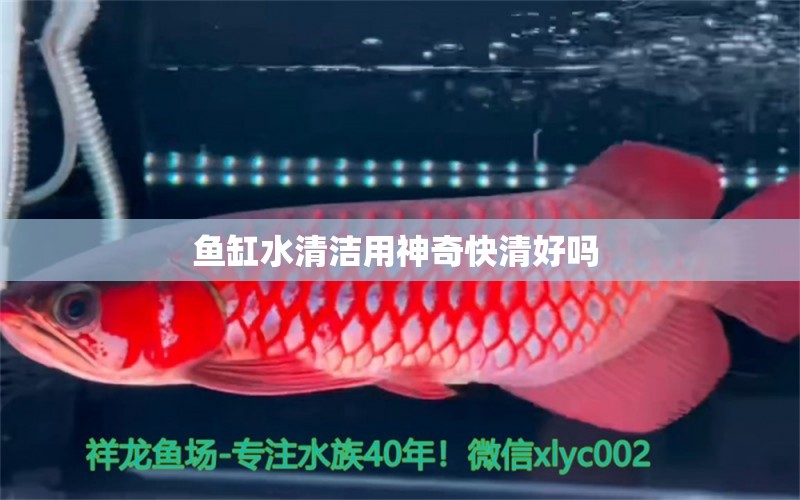 魚缸水清潔用神奇快清好嗎 