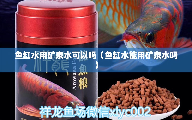 魚缸水用礦泉水可以嗎（魚缸水能用礦泉水嗎）