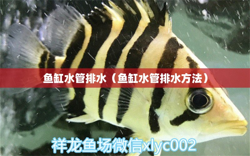 魚(yú)缸水管排水（魚(yú)缸水管排水方法）