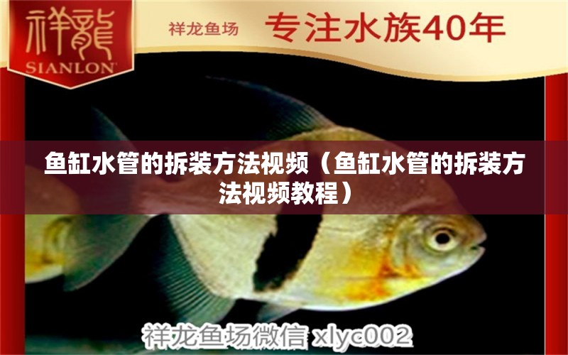 魚缸水管的拆裝方法視頻（魚缸水管的拆裝方法視頻教程）