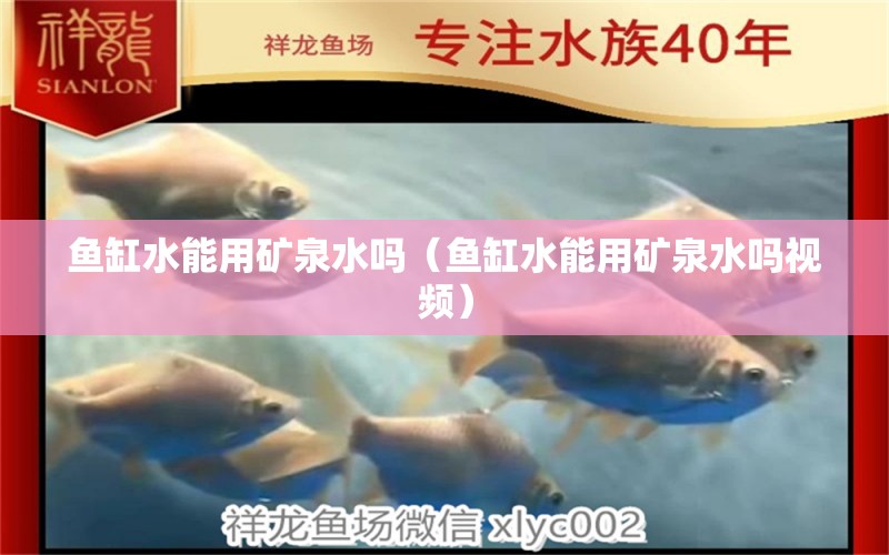 魚缸水能用礦泉水嗎（魚缸水能用礦泉水嗎視頻）