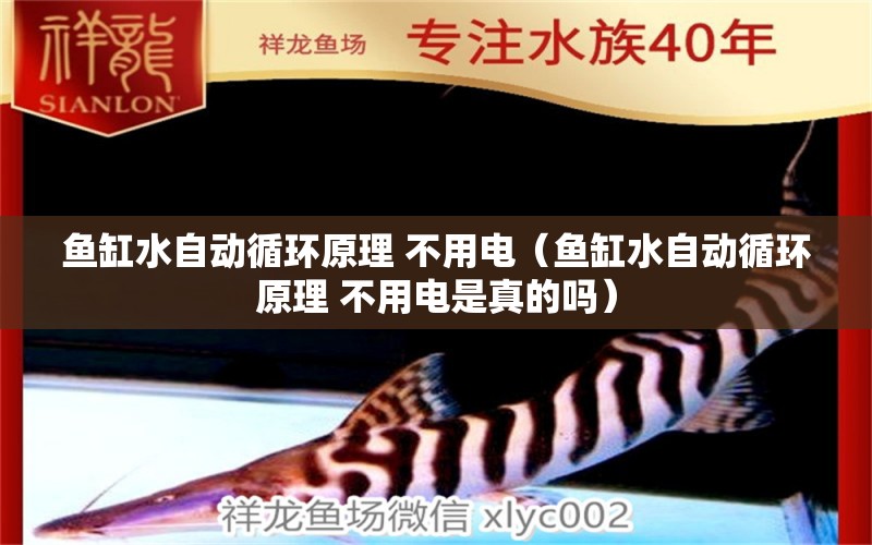 魚缸水自動循環(huán)原理 不用電（魚缸水自動循環(huán)原理 不用電是真的嗎）