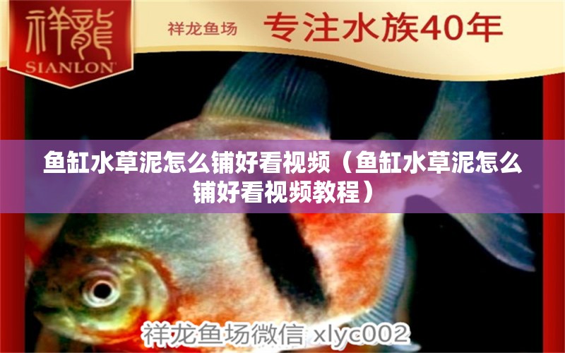 魚缸水草泥怎么鋪好看視頻（魚缸水草泥怎么鋪好看視頻教程）