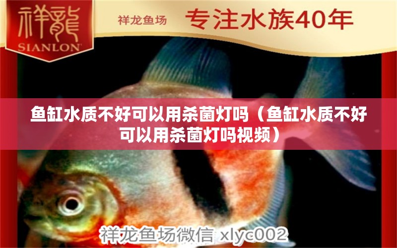 魚缸水質(zhì)不好可以用殺菌燈嗎（魚缸水質(zhì)不好可以用殺菌燈嗎視頻） 祥龍水族醫(yī)院