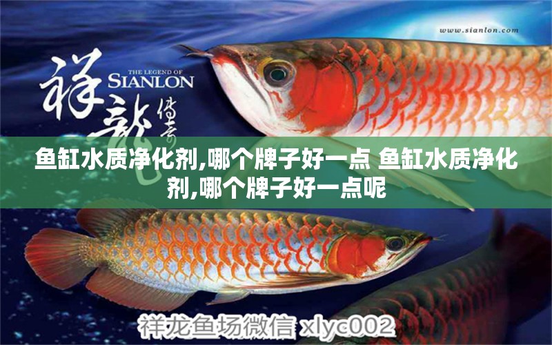 魚缸水質(zhì)凈化劑,哪個(gè)牌子好一點(diǎn) 魚缸水質(zhì)凈化劑,哪個(gè)牌子好一點(diǎn)呢