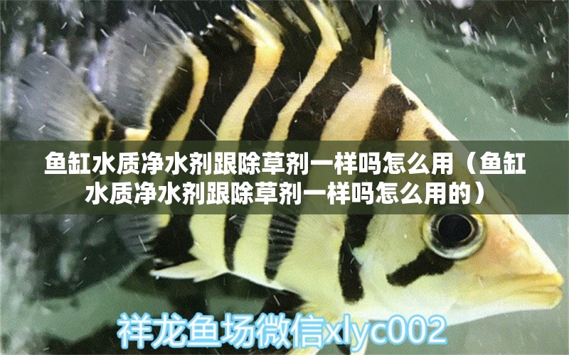 魚缸水質(zhì)凈水劑跟除草劑一樣嗎怎么用（魚缸水質(zhì)凈水劑跟除草劑一樣嗎怎么用的）