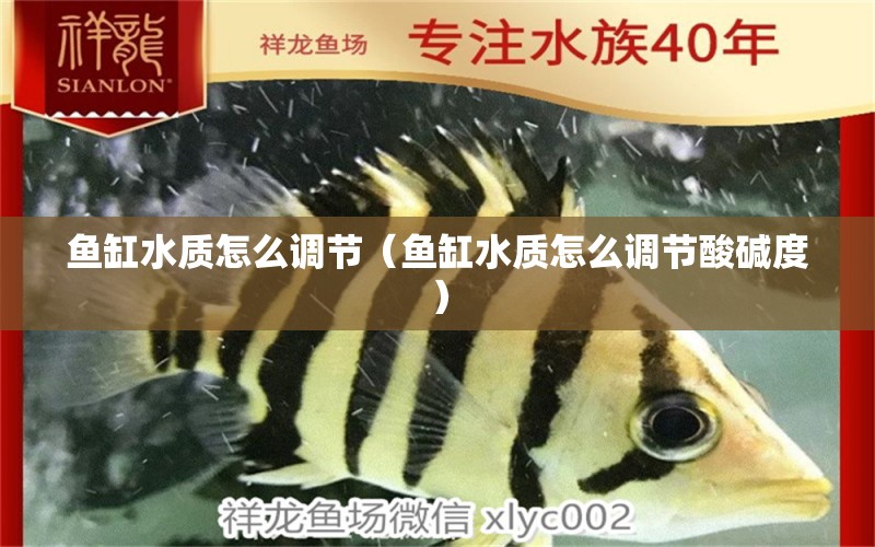 魚缸水質(zhì)怎么調(diào)節(jié)（魚缸水質(zhì)怎么調(diào)節(jié)酸堿度）