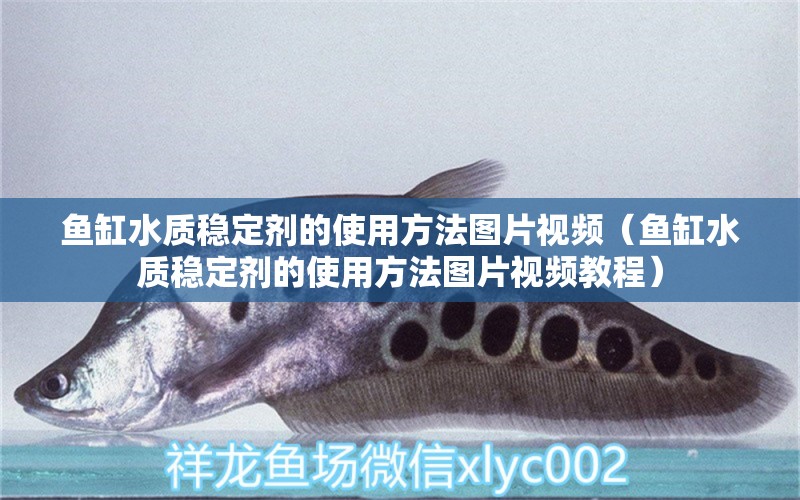 魚(yú)缸水質(zhì)穩(wěn)定劑的使用方法圖片視頻（魚(yú)缸水質(zhì)穩(wěn)定劑的使用方法圖片視頻教程）