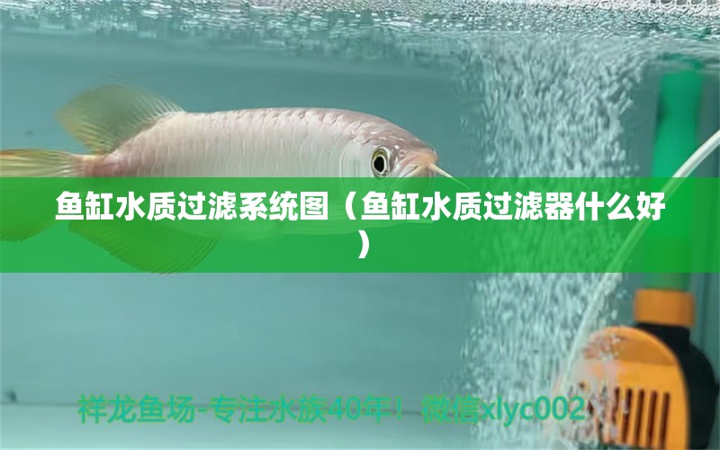 魚缸水質(zhì)過濾系統(tǒng)圖（魚缸水質(zhì)過濾器什么好） 廣州觀賞魚批發(fā)市場