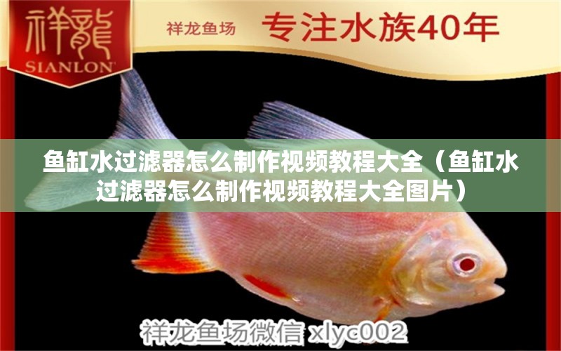 魚缸水過濾器怎么制作視頻教程大全（魚缸水過濾器怎么制作視頻教程大全圖片）