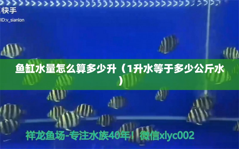 魚缸水量怎么算多少升（1升水等于多少公斤水）