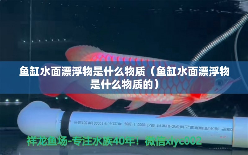 魚缸水面漂浮物是什么物質(zhì)（魚缸水面漂浮物是什么物質(zhì)的）