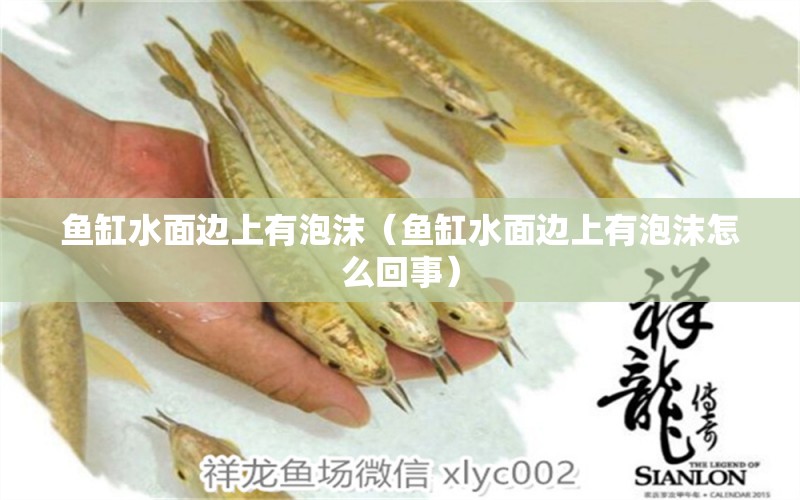 魚缸水面邊上有泡沫（魚缸水面邊上有泡沫怎么回事）