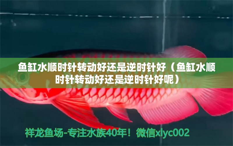 魚缸水順時針轉(zhuǎn)動好還是逆時針好（魚缸水順時針轉(zhuǎn)動好還是逆時針好呢）