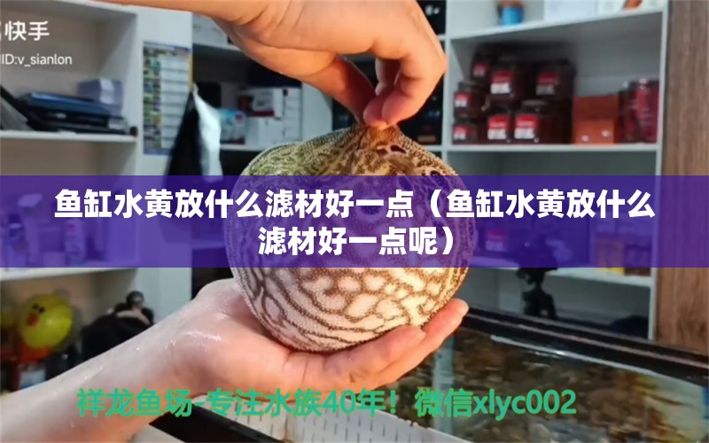 魚缸水黃放什么濾材好一點（魚缸水黃放什么濾材好一點呢）