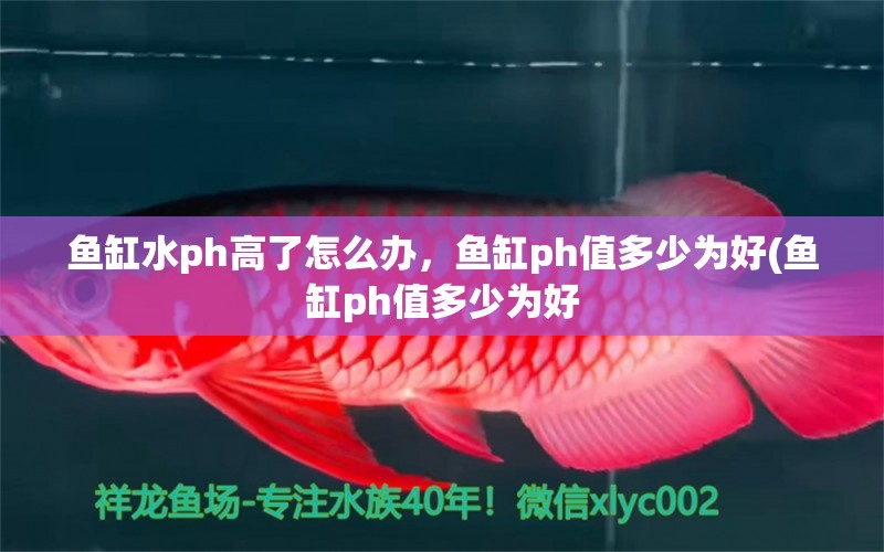 魚缸水ph高了怎么辦，魚缸ph值多少為好(魚缸ph值多少為好 養(yǎng)魚知識