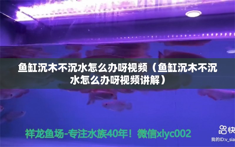 魚缸沉木不沉水怎么辦呀視頻（魚缸沉木不沉水怎么辦呀視頻講解） 其他品牌魚缸