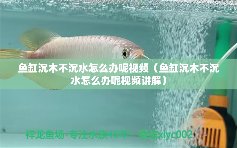 魚缸沉木不沉水怎么辦呢視頻（魚缸沉木不沉水怎么辦呢視頻講解） 其他品牌魚缸