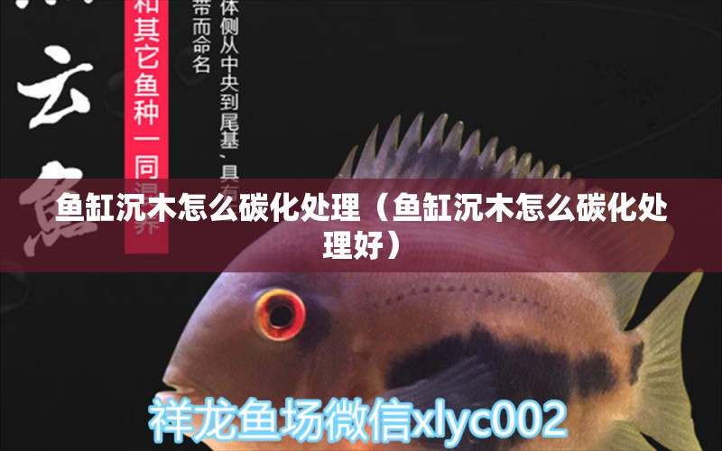 魚(yú)缸沉木怎么碳化處理（魚(yú)缸沉木怎么碳化處理好） 其他品牌魚(yú)缸